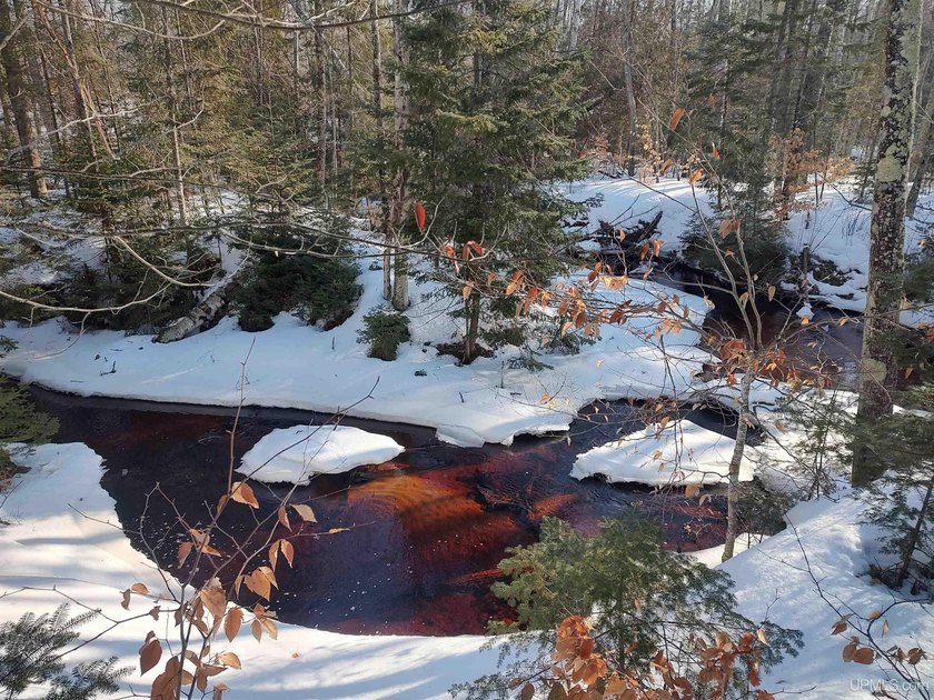 This 40-acre parcel offers great access and plenty of potential - Beach Acreage for sale in Manistique, Michigan on Beachhouse.com