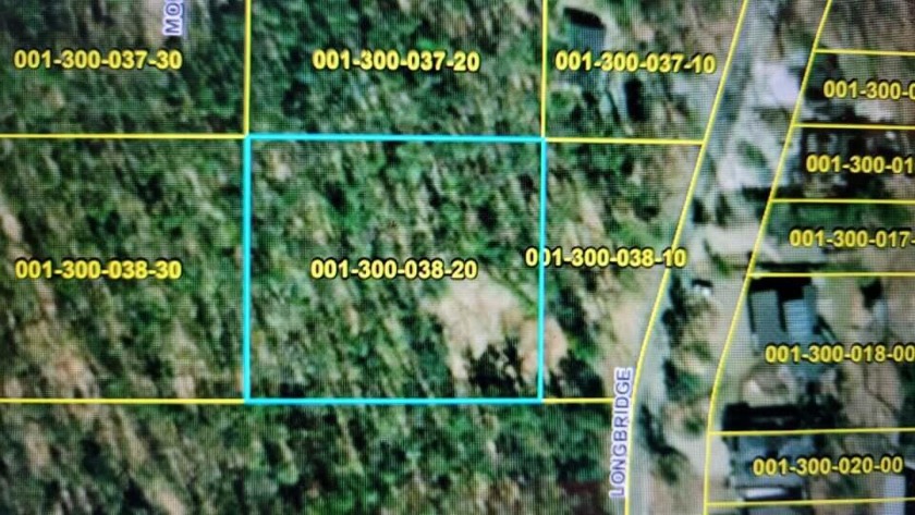 Fantastic secluded building site located just a stones throw to - Beach Lot for sale in Pentwater, Michigan on Beachhouse.com