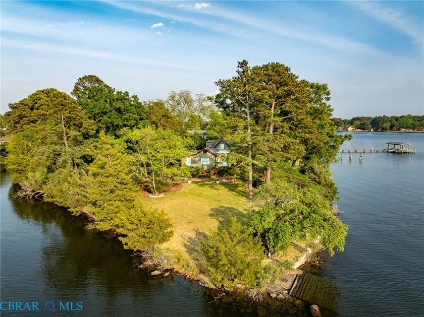 Rare Elizabeth River waterfront with the kind of yard that makes - Beach Home for sale in Norfolk, Virginia on Beachhouse.com