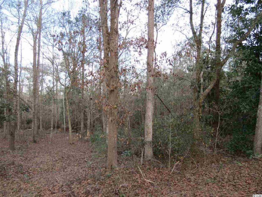 Wooded acreage with Choppee Creek frontage. Public water and - Beach Acreage for sale in Georgetown, South Carolina on Beachhouse.com
