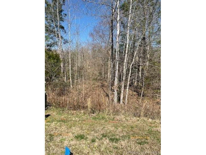 This wooded 1/2 acre lot is located in Ford's Colony. A gentle - Beach Lot for sale in Williamsburg, Virginia on Beachhouse.com