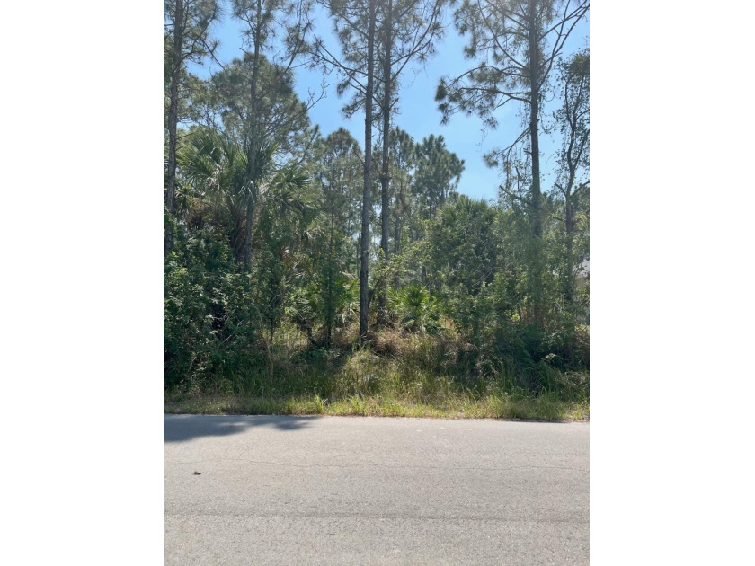 Beautiful Lot in the Prestigious Bay Side Lakes area. City Water - Beach Lot for sale in Palm Bay, Florida on Beachhouse.com