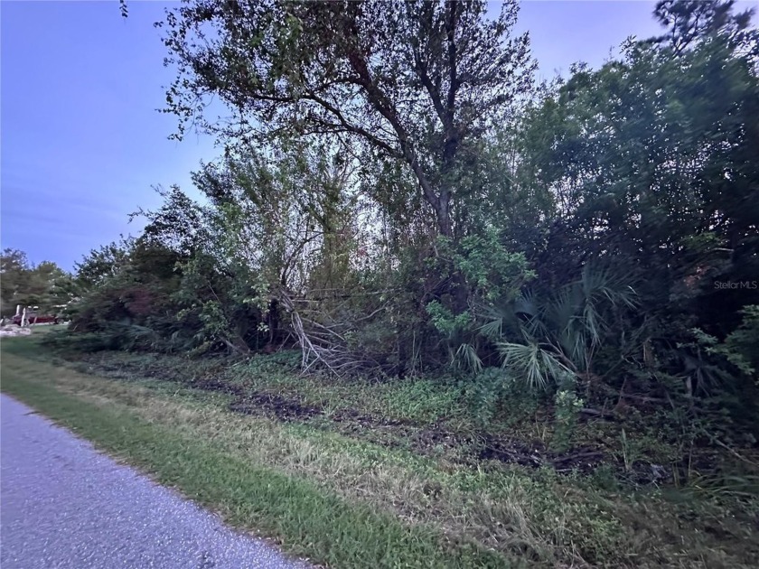 Fabulous quarter acre lot on public water, electric nearby, and - Beach Lot for sale in Port Charlotte, Florida on Beachhouse.com