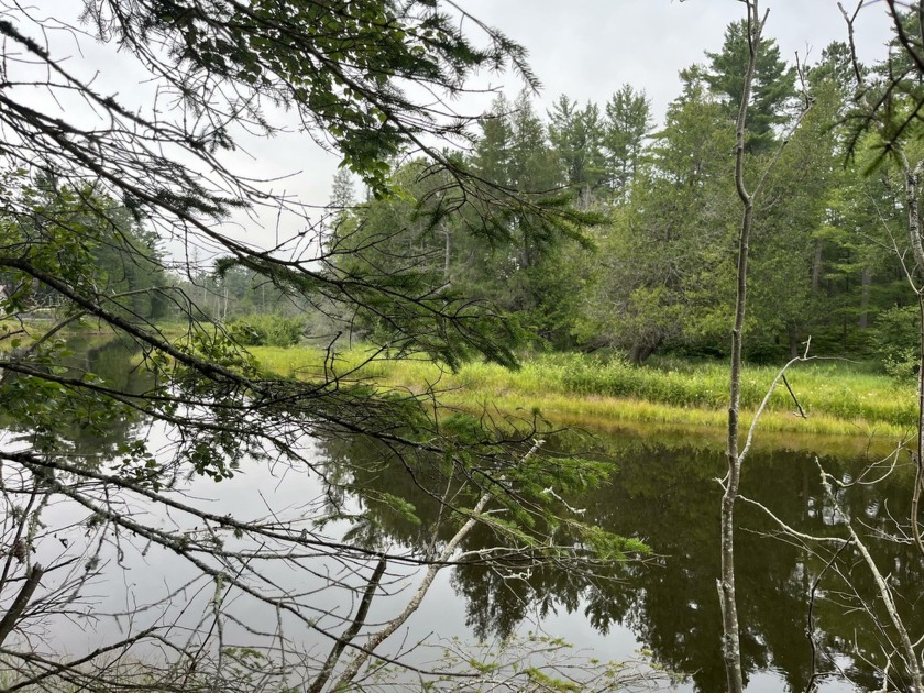 Three stunning riverfront lots on the Mille Coquins River with - Beach Lot for sale in Naubinway, Michigan on Beachhouse.com