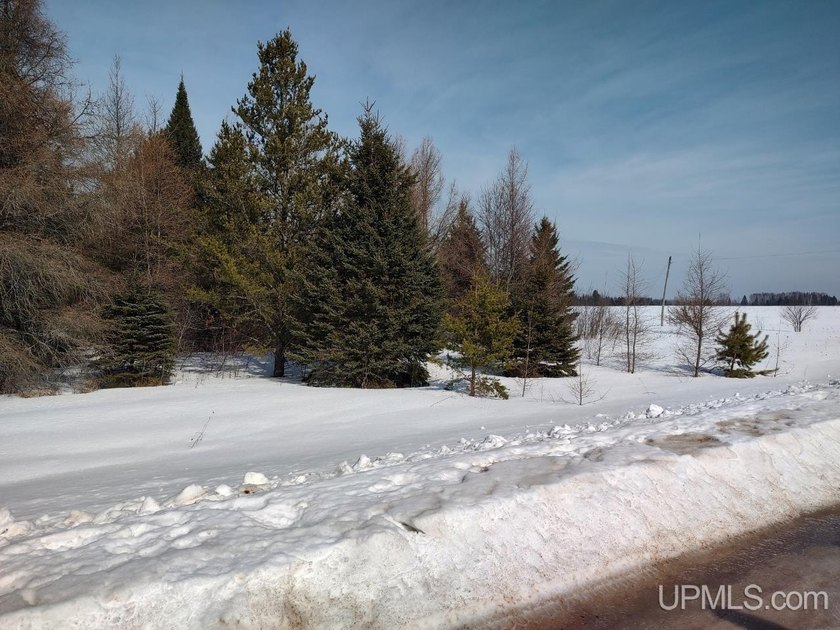 This 80-acre parcel represents the eastern portion of a larger - Beach Acreage for sale in Manistique, Michigan on Beachhouse.com