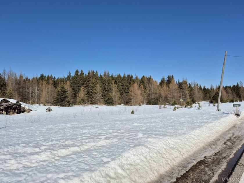 This 80-acre parcel represents the western portion of a larger - Beach Acreage for sale in Gulliver, Michigan on Beachhouse.com
