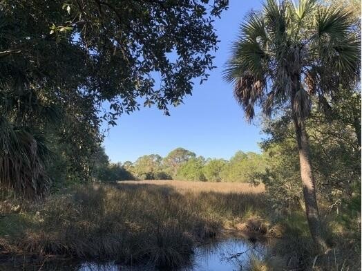 This beautiful, unique 2.93 acre lot is one of the most unique - Beach Home for sale in Mount Pleasant, South Carolina on Beachhouse.com