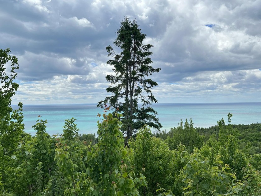 Rare find!!  NO zoning restrictions! Enjoy million-dollar views - Beach Lot for sale in Naubinway, Michigan on Beachhouse.com