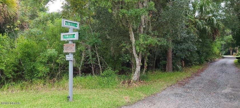 A RARE FIND .... a  1.72 Acre wooded lot located in the center - Beach Lot for sale in Ormond Beach, Florida on Beachhouse.com