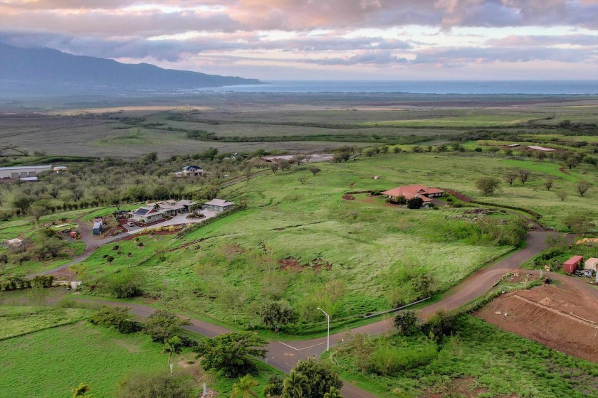 Expand your vision and create your dream home on this clear and - Beach Acreage for sale in Kula, Hawaii on Beachhouse.com