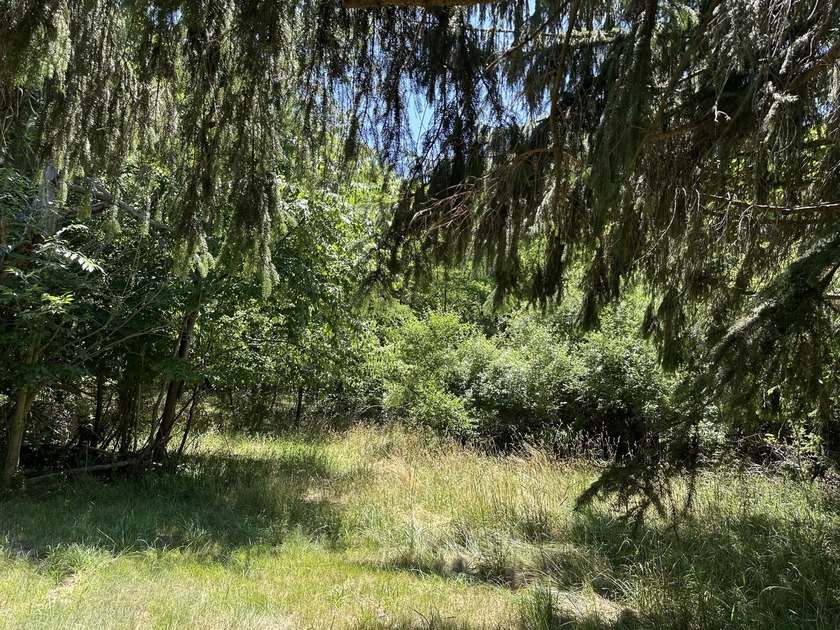 Discover your own slice of SW Michigan in this rare - Beach Acreage for sale in South Haven, Michigan on Beachhouse.com