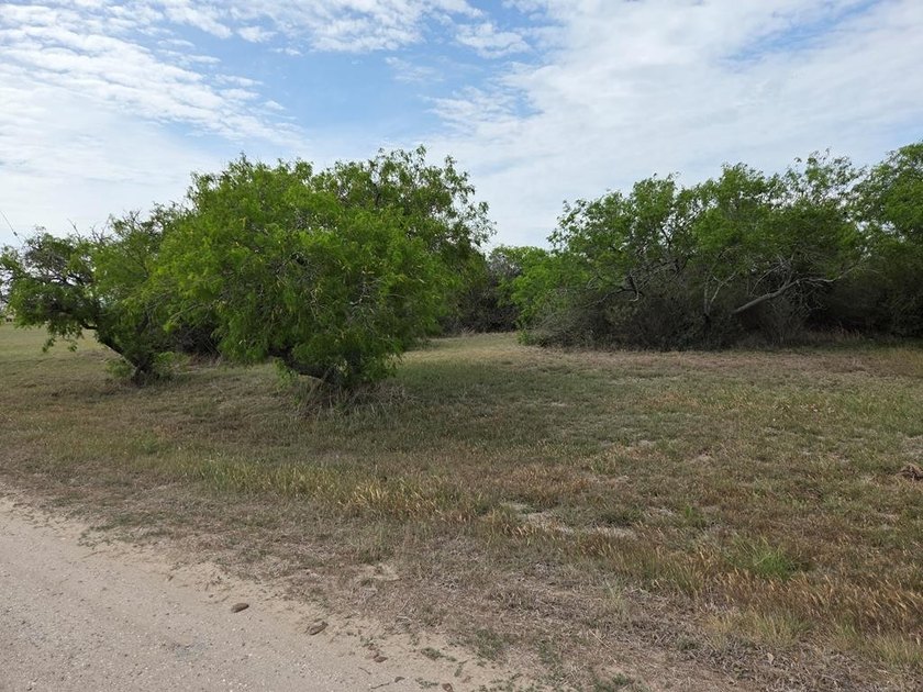 Nice lot in the Boca Chica S/De build your dream home, or set up - Beach Lot for sale in Palacios, Texas on Beachhouse.com