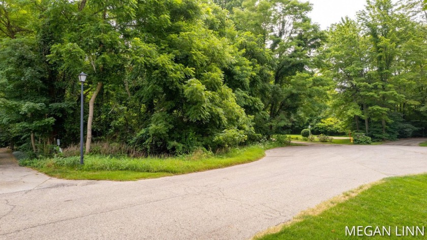 Imagine your perfect retreat in Laketown Township--a peaceful - Beach Lot for sale in Holland, Michigan on Beachhouse.com