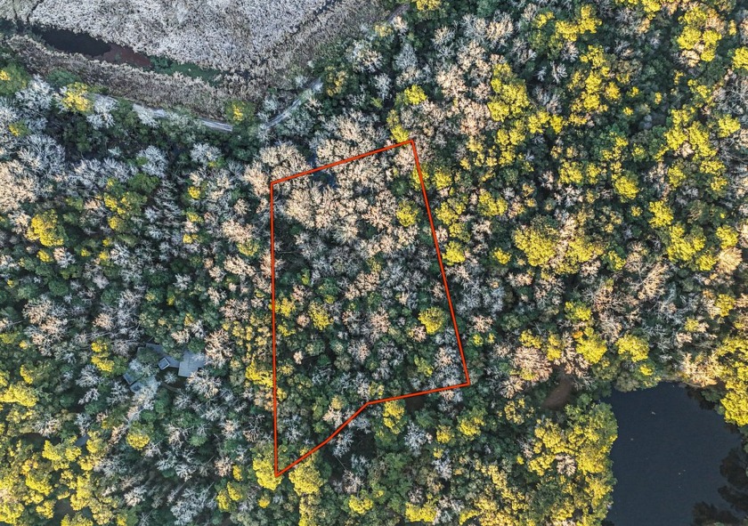 Just shy of two pristine beautiful acres awaits construction - Beach Lot for sale in Charleston, South Carolina on Beachhouse.com