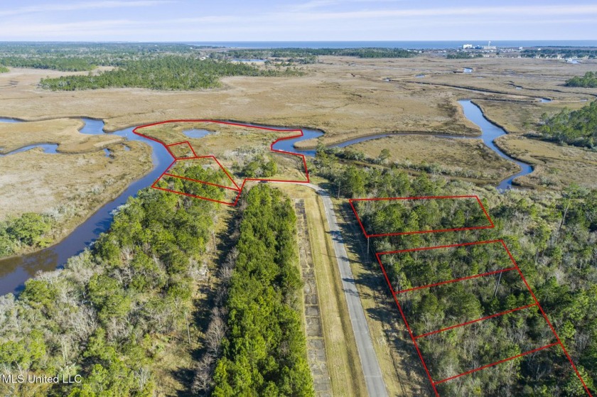 Nestled in the serene surroundings of Bay St. Louis, Mississippi - Beach Acreage for sale in Bay Saint Louis, Mississippi on Beachhouse.com