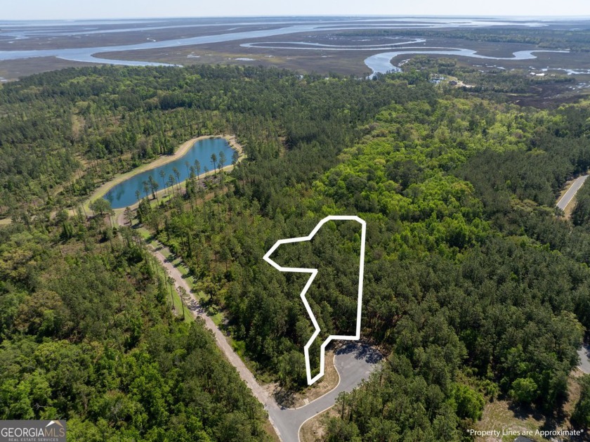 Build your dream home on this gorgeous lakefront lot in - Beach Lot for sale in Waverly, Georgia on Beachhouse.com