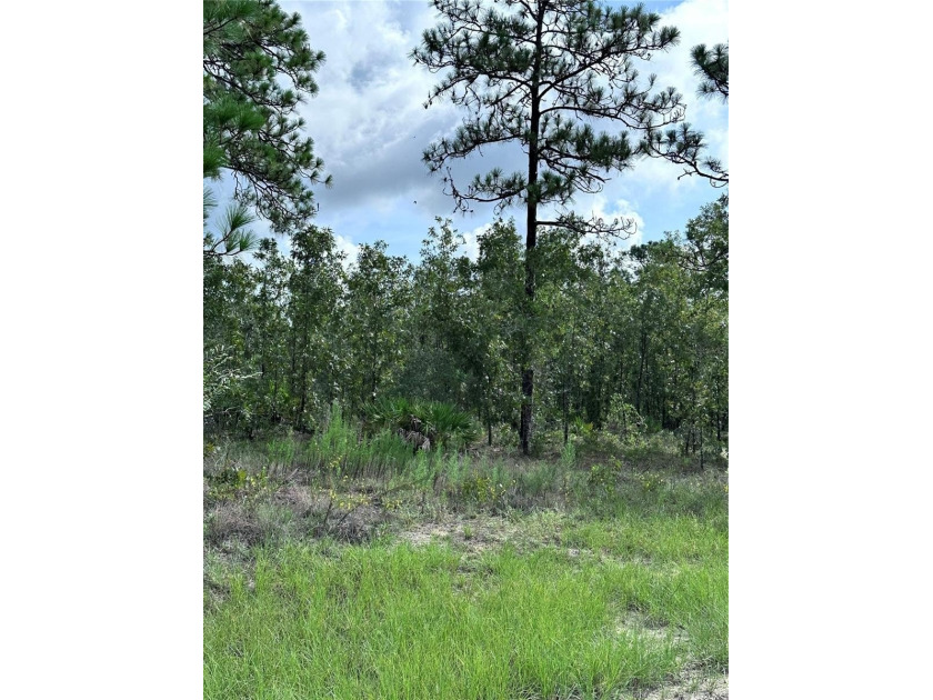 This spacious half-acre lot features a cleared area along the - Beach Lot for sale in Weeki Wachee, Florida on Beachhouse.com