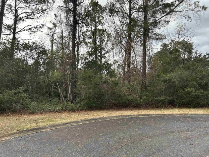Within the DeBordieu Community there are few properties that - Beach Lot for sale in Georgetown, South Carolina on Beachhouse.com