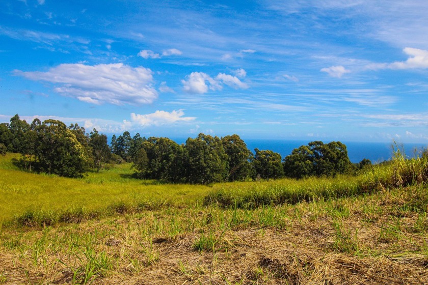 Discover majestic views on this tranquil eight acres of open - Beach Acreage for sale in Paauilo, Hawaii on Beachhouse.com