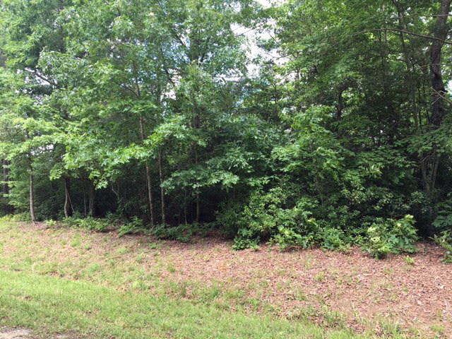 WOW - priced $14000 below assessment! 2 ACRE LOT ON LAKE ECHO in - Beach Lot for sale in Lancaster, Virginia on Beachhouse.com