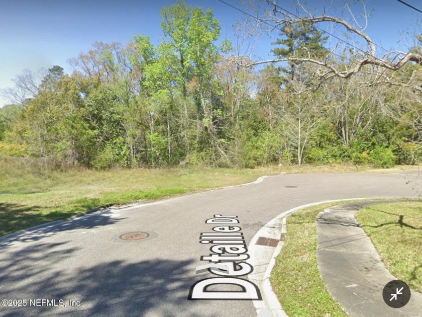 Come build your dream home with 100' of water access. Paved road - Beach Lot for sale in Jacksonville, Florida on Beachhouse.com