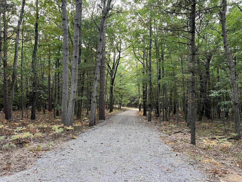 This one has it all! 2.5 acre gem nestled perfectly across the - Beach Acreage for sale in Free Soil, Michigan on Beachhouse.com