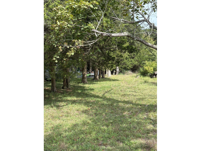 This recently subdivided 1.5 ACRE flag lot offers the perfect - Beach Lot for sale in Cape May Court House, New Jersey on Beachhouse.com