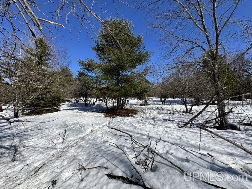 Beautiful 10-acre wooded parcel in Baraga Township featuring a - Beach Acreage for sale in Baraga, Michigan on Beachhouse.com