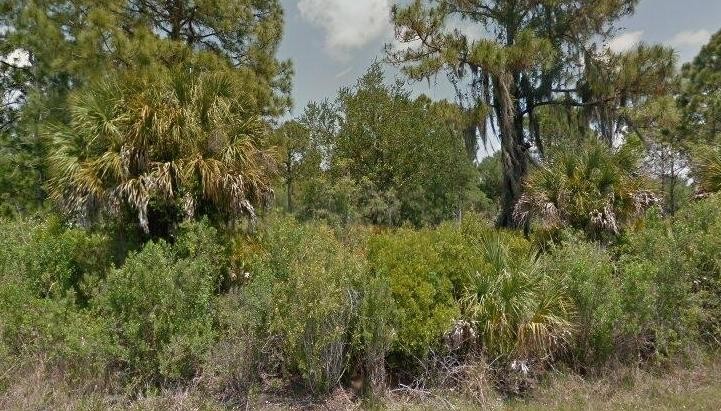 NO HOA or CCD. You can build your dream home! Expanding city of - Beach Lot for sale in Port Charlotte, Florida on Beachhouse.com