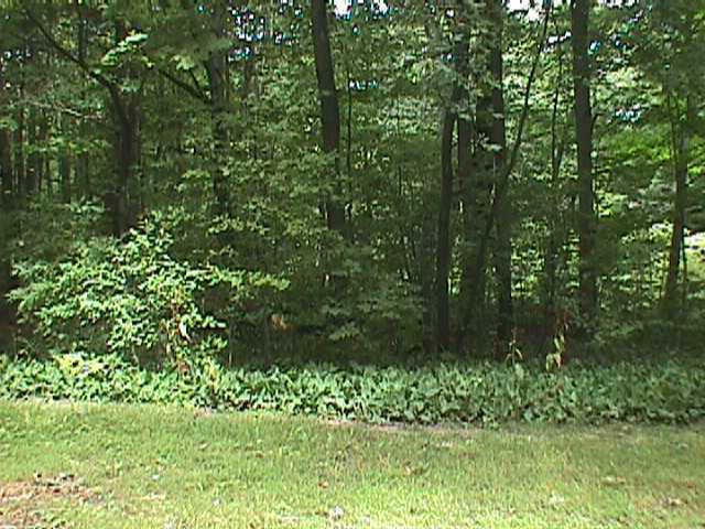 Rare find in the City of Whitehall corner lot with Bush creek - Beach Lot for sale in Whitehall, Michigan on Beachhouse.com