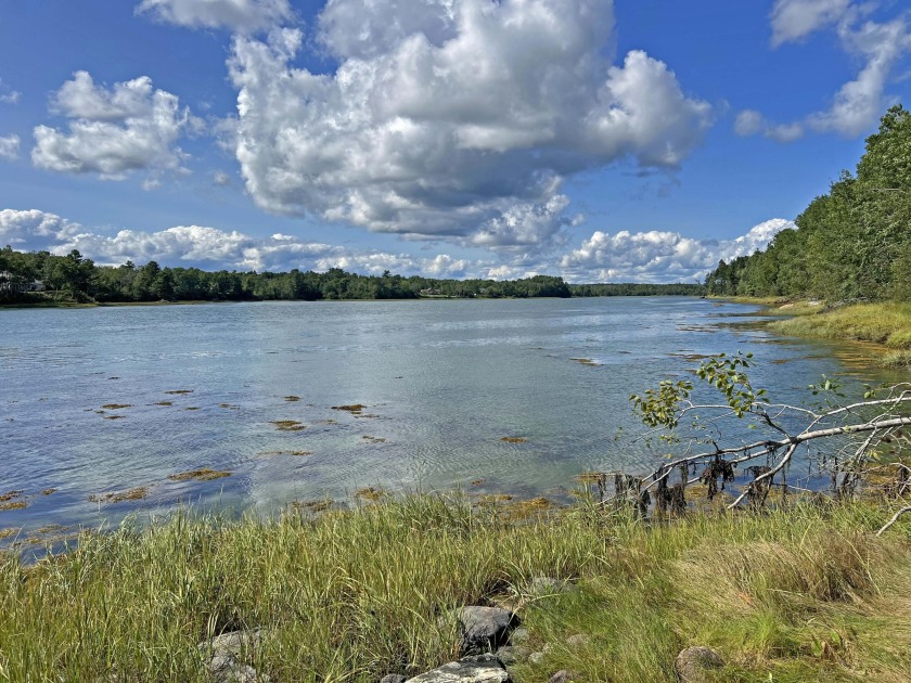 This impressive waterfront property offers 270 feet of private - Beach Acreage for sale in Lamoine, Maine on Beachhouse.com