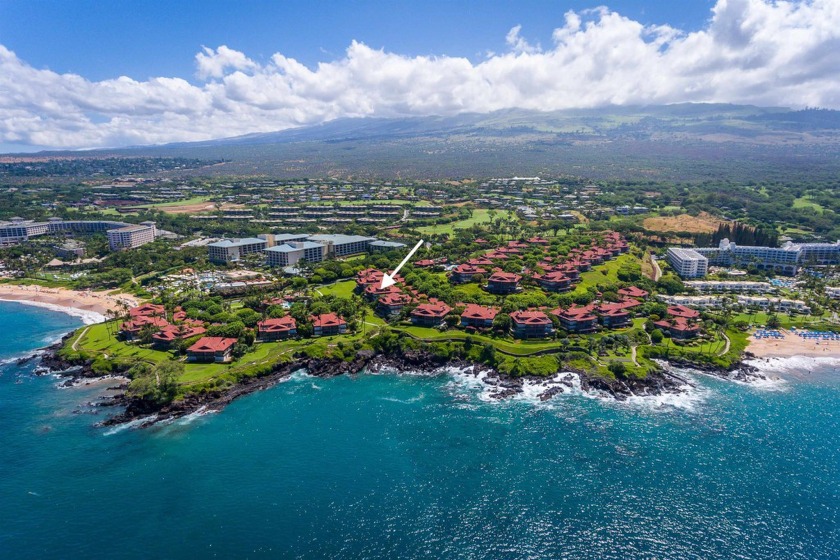 Almost every surface of Wailea Point 901 is meticulously - Beach Condo for sale in Kihei, Hawaii on Beachhouse.com