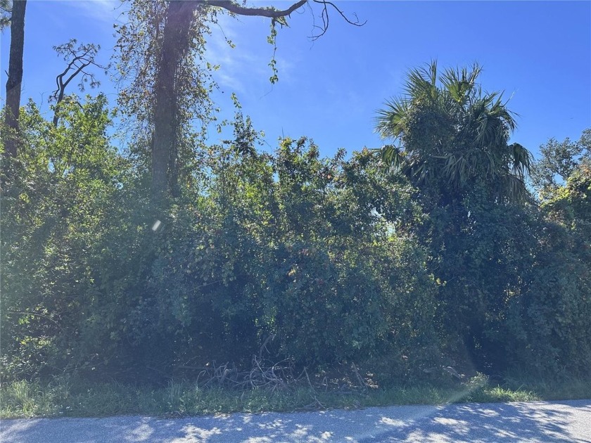 Unleash your creativity on this prime vacant lot in Punta Gorda - Beach Lot for sale in Punta Gorda, Florida on Beachhouse.com