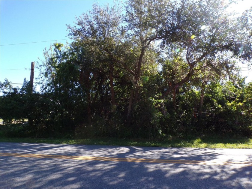 This Great waterfront lot is on the Apollo Waterway providing a - Beach Lot for sale in Port Charlotte, Florida on Beachhouse.com