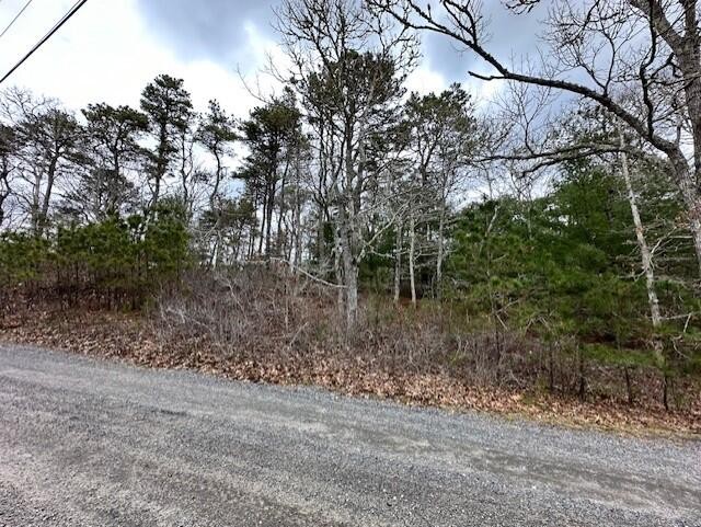 Privacy abounds in this beautiful almost 1 ac. lot on a - Beach Lot for sale in Harwich, Massachusetts on Beachhouse.com