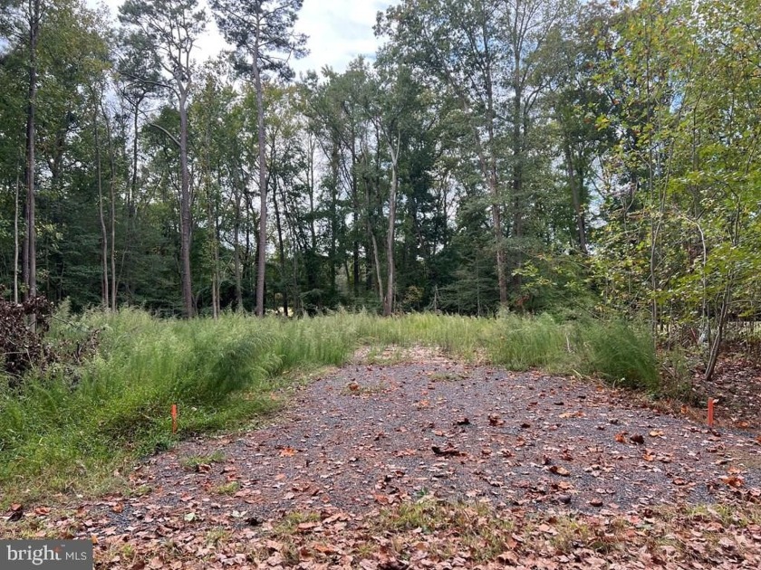 Check out this huge lot that is all ready to be built on! This - Beach Lot for sale in Greenbackville, Virginia on Beachhouse.com