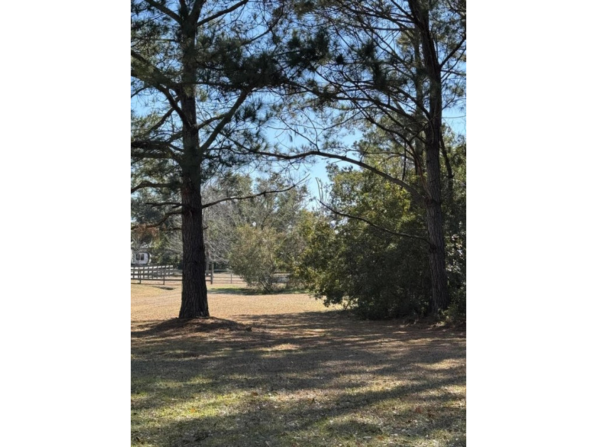 Minutes from the beach, this idyllic island location offers a - Beach Lot for sale in Edisto Island, South Carolina on Beachhouse.com