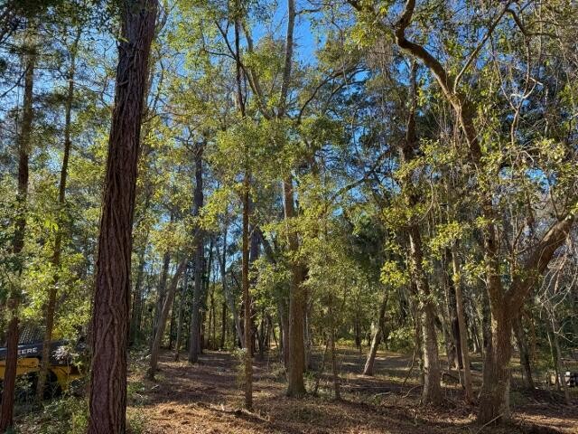 Great opportunity to own a secluded homesite at end of - Beach Lot for sale in Edisto Island, South Carolina on Beachhouse.com