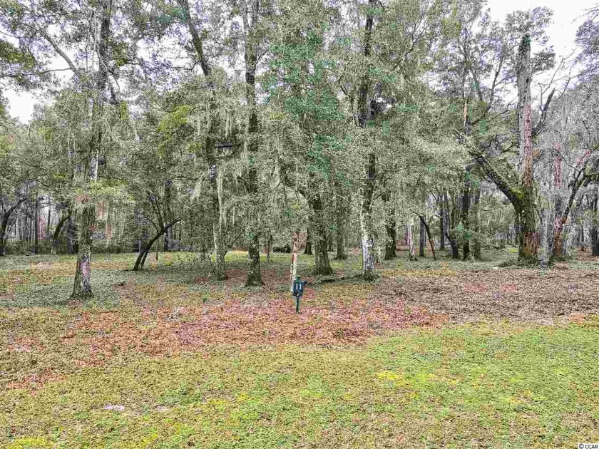 This is a beautiful private wooded lot located in the heart of - Beach Lot for sale in Pawleys Island, South Carolina on Beachhouse.com
