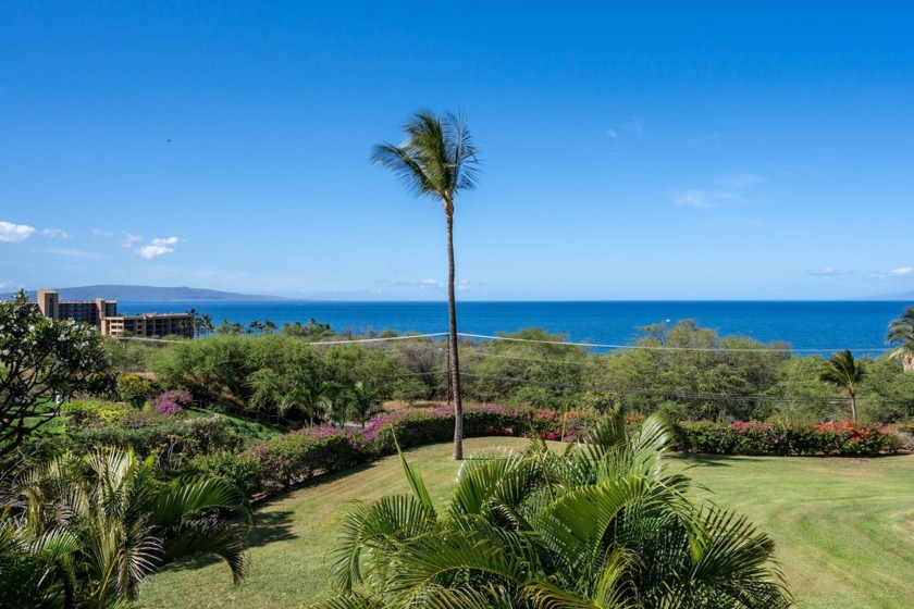 Rare, front row A building at Maui Kamaole. Definitely one of - Beach Condo for sale in Kihei, Hawaii on Beachhouse.com