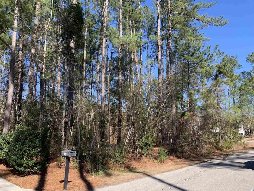 One of the last large lots left on the Wedgefield Plantation - Beach Lot for sale in Georgetown, South Carolina on Beachhouse.com