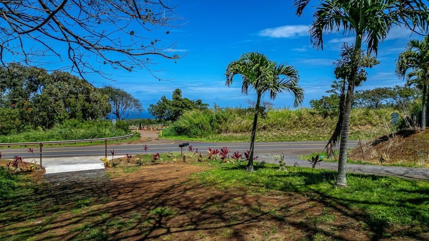 Imagine your beautiful home situated perfectly on this  1/2 - Beach Lot for sale in Haiku, Hawaii on Beachhouse.com
