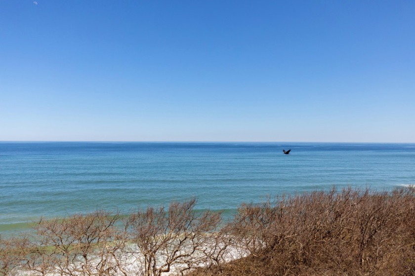 Great rental opportunity or ocean front getaway offering a total - Beach Home for sale in Eastham, Massachusetts on Beachhouse.com