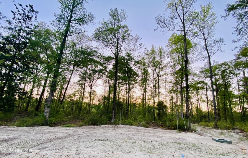 Now Available: 34 Stunning Residential Lots in Hickory Run at - Beach Lot for sale in New Bern, North Carolina on Beachhouse.com