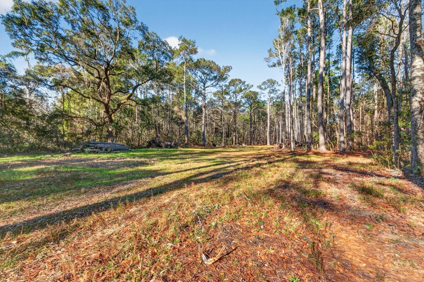 Discover the perfect canvas for your dream home only one and a - Beach Acreage for sale in Mcclellanville, South Carolina on Beachhouse.com