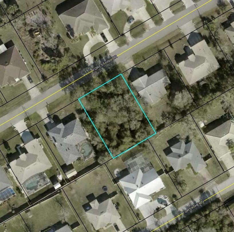 Beautiful oversize lot in popular well established area of Palm - Beach Lot for sale in Palm Coast, Florida on Beachhouse.com