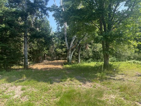 Imagine your perfect retreat nestled among the white birch trees - Beach Acreage for sale in Machiasport, Maine on Beachhouse.com