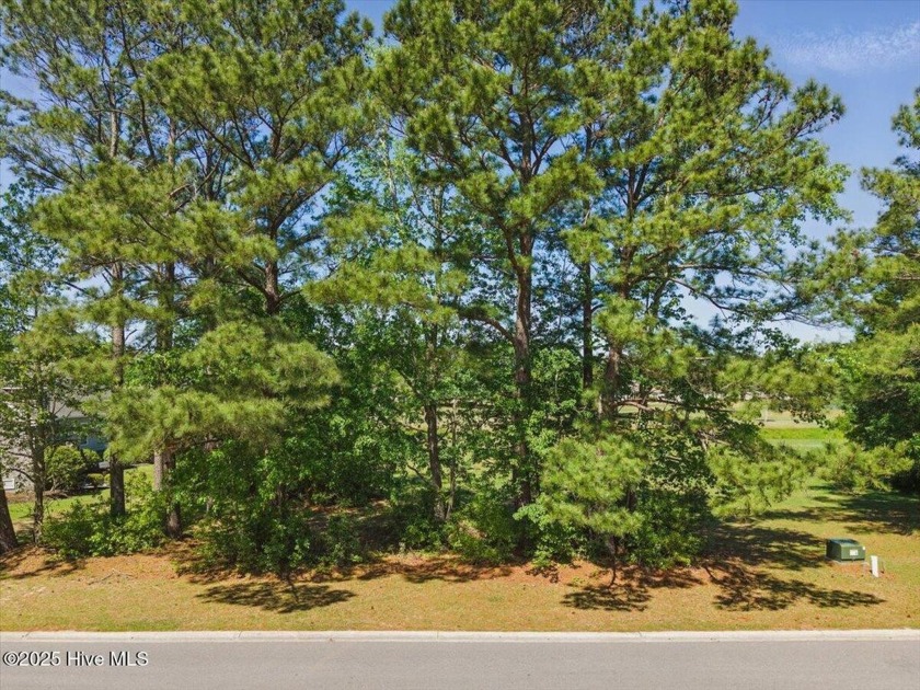 Fairway lot overlooking the Caw Caw in the prestigious - Beach Lot for sale in Calabash, North Carolina on Beachhouse.com