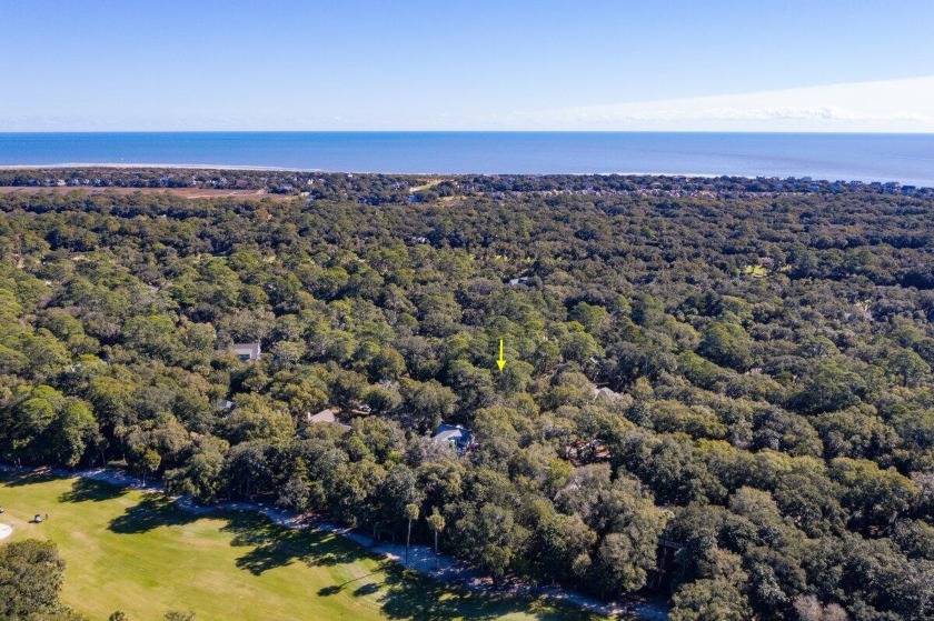 Build your dream home on this large (0.51 acre) wooded lot - Beach Lot for sale in Seabrook Island, South Carolina on Beachhouse.com
