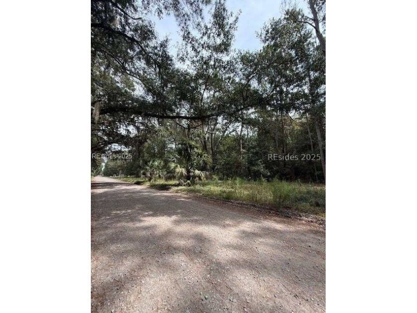 This beautiful historical area lot sits within a 10 min golf - Beach Lot for sale in Daufuskie Island, South Carolina on Beachhouse.com